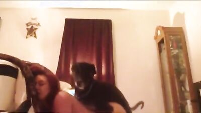 Bestiality games: bestiality dog comics