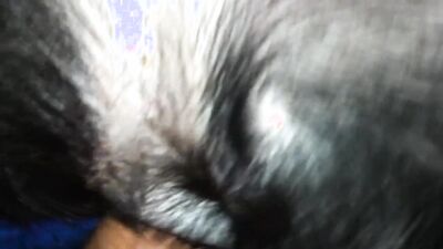 Bestiality porn: dog licking girls face