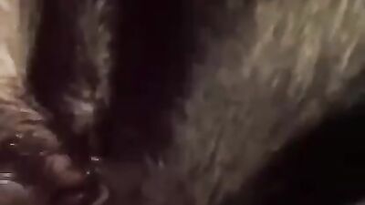 Zoo porn 2026: dogs porn 18