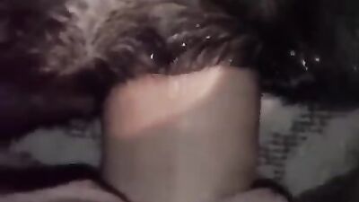 Zoo porn 2026: dogs porn 18