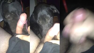 Zoo fucking porn: zoo porno home girl horse video