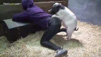 Dog girl: video bokep sex animals