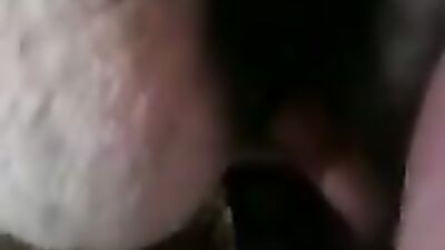 Zoo dog porn: bestiality porn movies