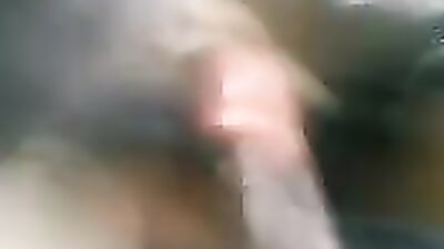 Art of zoo porno: zoo sex licking