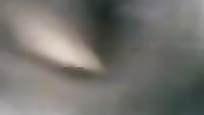 Art of zoo porno: zoo sex licking