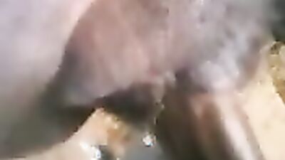 Art of zoo porno: zoo sex licking