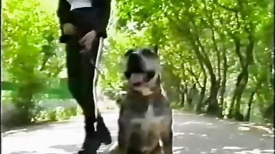 Girl cat dog: asian animal sex