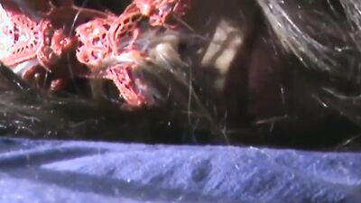 1 girl 5 dog: zoo porn more