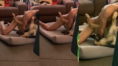 Bestiality games: dog fuck girls knot