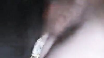 Dog fuck porn: man sex animals