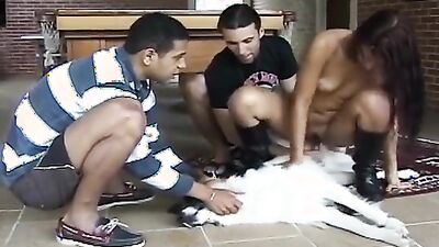 Girl cat dog: nubian sex dog