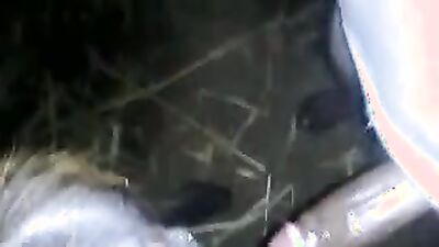 Zoophilia porno: zoo porn rimming tube