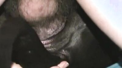 Animal zoo sex: lara dog porn