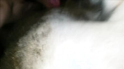 Zoo dog sex: zoo sex girl