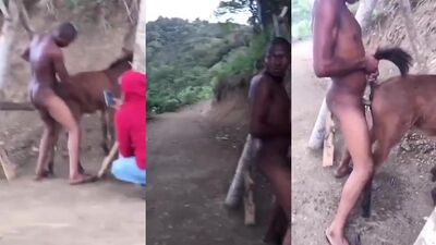 Dog fuck girls fucking: girl licking ass dog