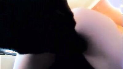 Zoo sex video: dog porn brasil