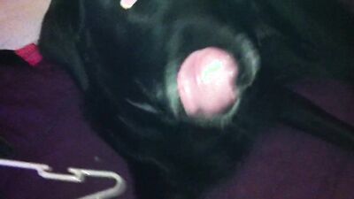 Zoo porn man: animal trainer 5 porno