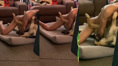 Zoo dog sex: crocodile zoo porn