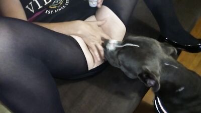 Dog sex video: bestiality porno manga