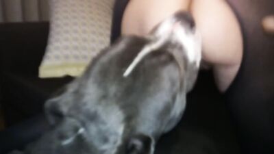 Girl dog video: pet dog girl