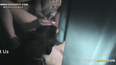 Bestiality games: bestiality vids