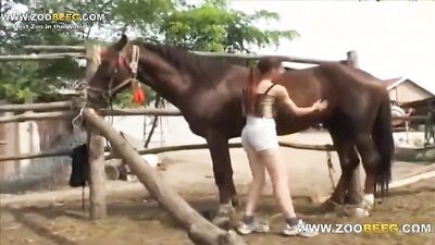 Dog pussy girls: zoofilia dog sex new 2026