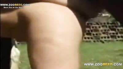 3d zoo porn: girls blows ger dog 2026