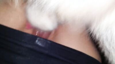 Zoo fucking porn: sex dog best video