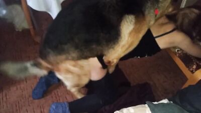3d dog porn: hentai manga zoophilia