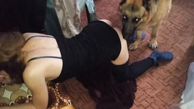 Zoo porn man: poo19 shit dog for 5 girls