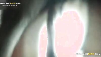 Bestiality manga: zoofilia art of zoo news video