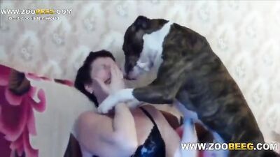 Girl dog video: zoo porno monica video online