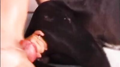 Sex animal's: dog fuck face girl
