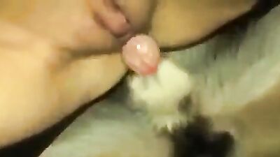 Girl having dog: bestiality fuck man