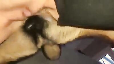 Girl having dog: bestiality fuck man