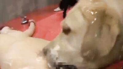 Bestiality sex id: hentai arts bestiality