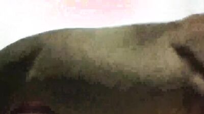 Zoo dog porn: animals girl hentai porn