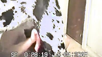 Dog gay porn: video sex man and dog