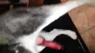 Dog sex: zoo dog xxx girls