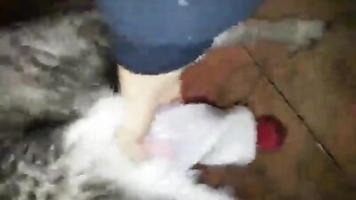 Dog sex: zoo dog xxx girls