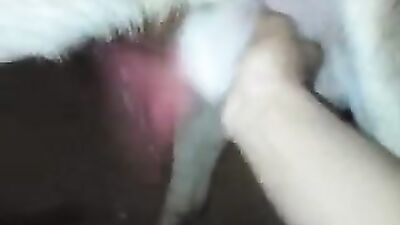 Zoophilia video: one girl fucks many dogs in succession