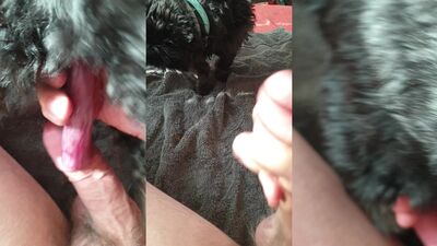 Dog porn video: mimi dog porn art