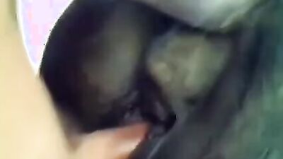 Zoo dog porn: andy private zoo porn