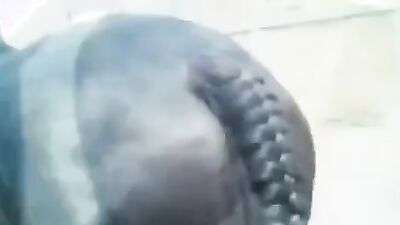 Zoo dog porn: andy private zoo porn