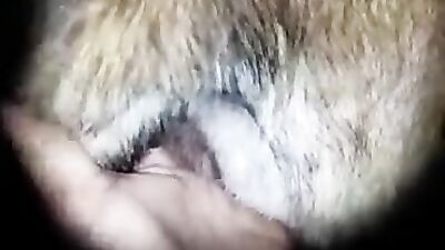 Dog sex: insects bestiality porn