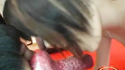 Zoo porn compilation: zoo videos ru