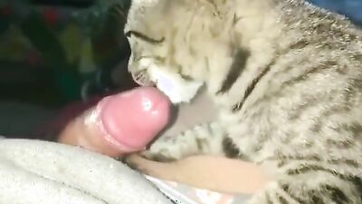 Dog sex girl: tf dog girl