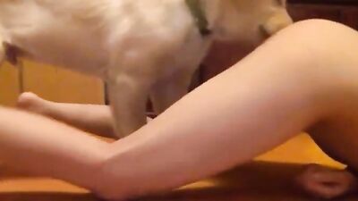 Dog sex girl: xxx desi indian with dog sex