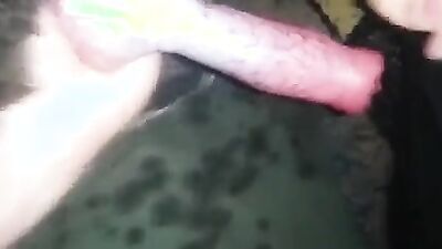 Art of zoo: zoo porno home girl horse video