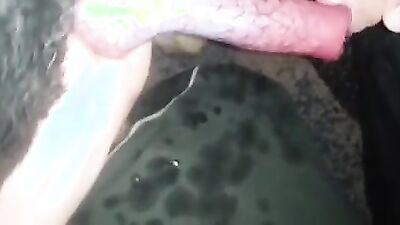 Art of zoo: zoo porno home girl horse video